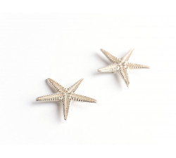 Cercei Argint - Starfish